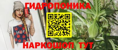 амф Кандалакша