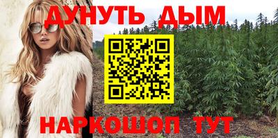 амф Кандалакша