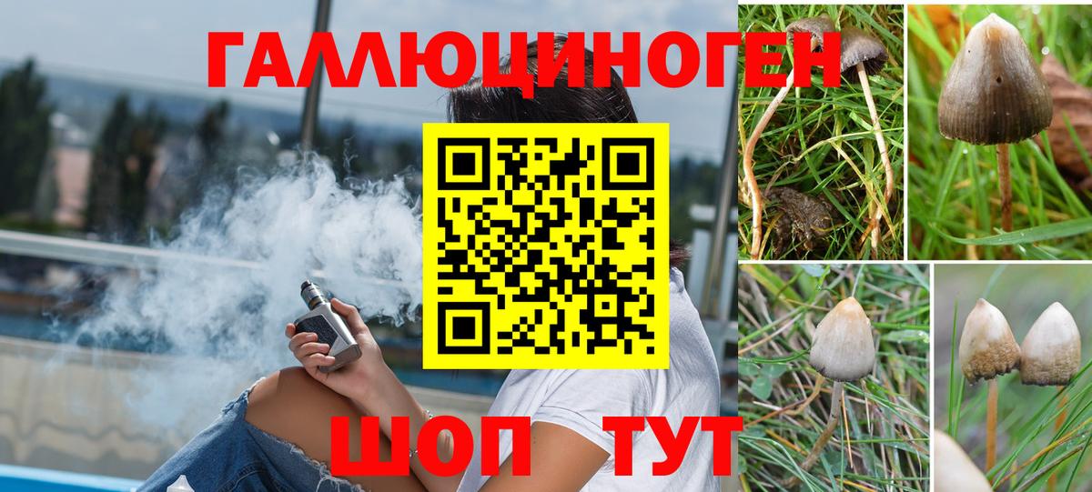 как найти закладки  Вход с VPN  Великие Луки  Галлюциногенные грибы Psilocybine cubensis 
